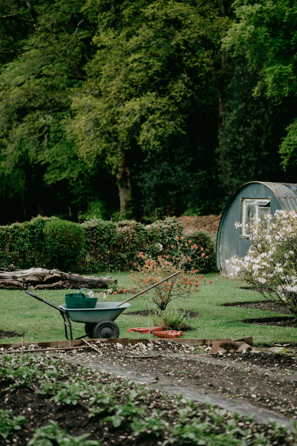 10 Handy Tools for Starting a Hobby&nbsp;Farm